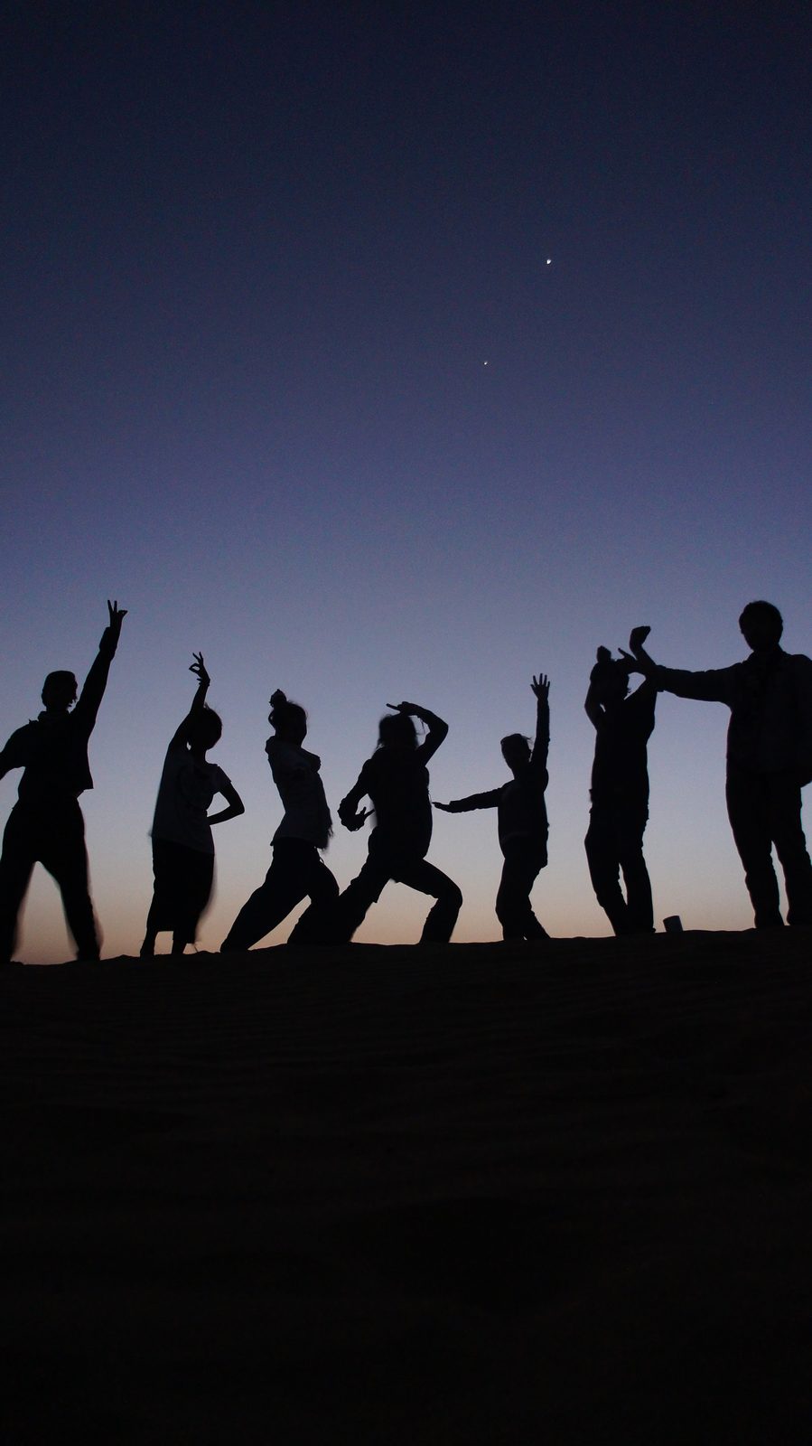 The Thar Desert, India-Pakistan border